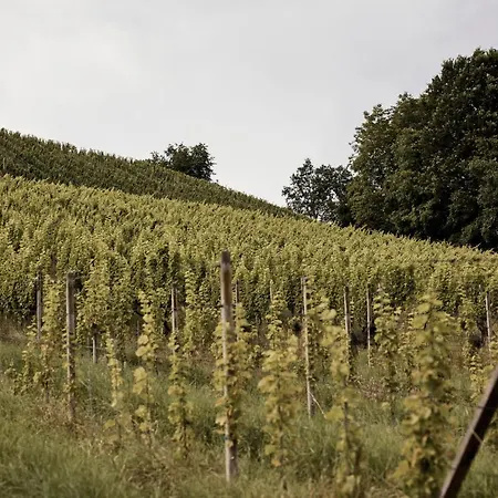 Bio Weingut Matthias Schnabl Casa de hóspedes 3*