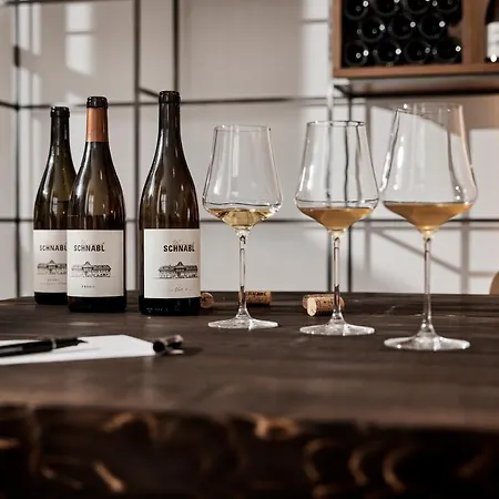 Bio Weingut Matthias Schnabl 3* Gamlitz