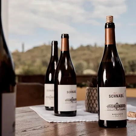 Bio Weingut Matthias Schnabl Gamlitz