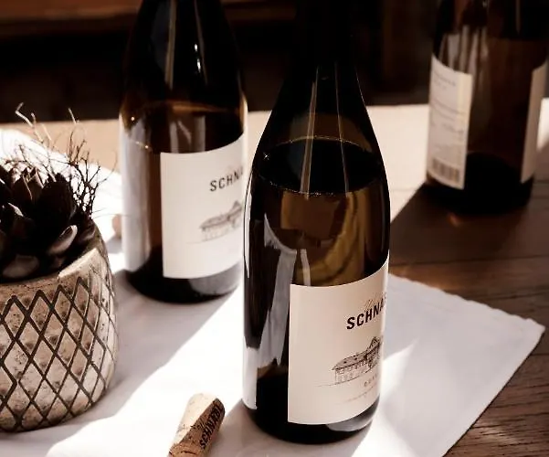 Bio Weingut Matthias Schnabl 3*